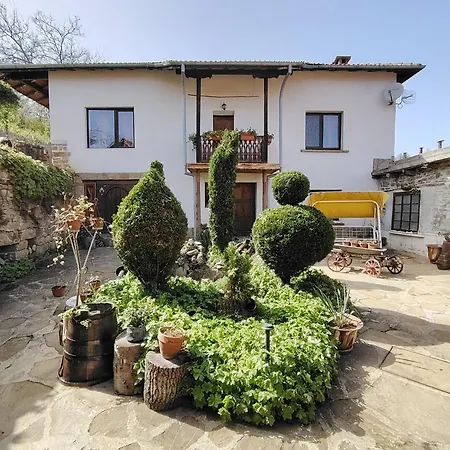 בית הארחה чичарите גברובו