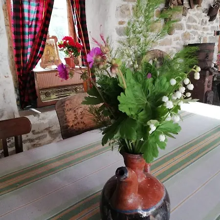 чичарите בית הארחה