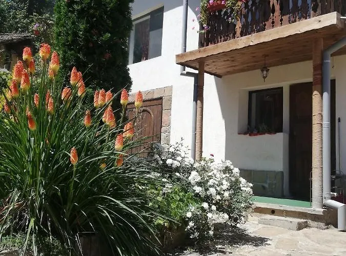 чичарите 招待所 *