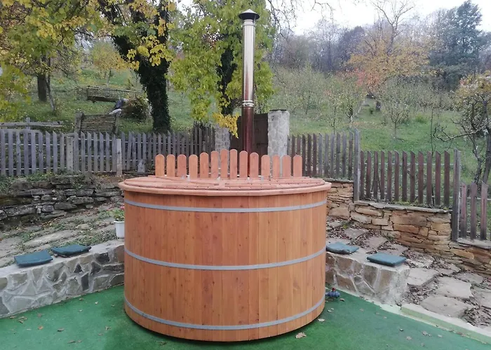 чичарите 招待所 *