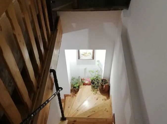 招待所 чичарите