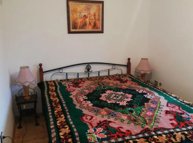 招待所 чичарите