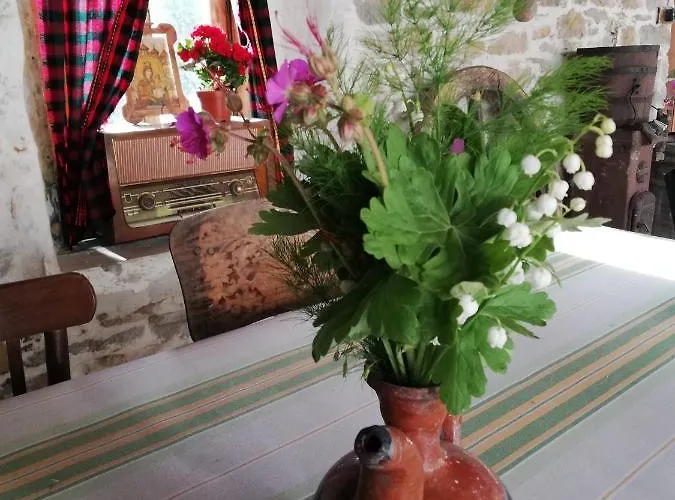 чичарите 招待所